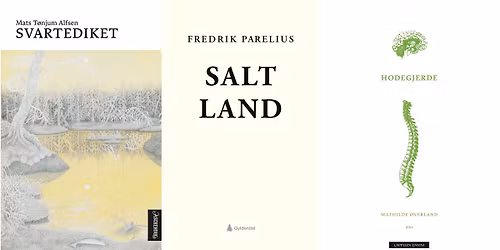 Lyrisk draugelag \u2013 Trippel slippfest