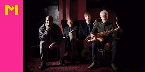 Yellowjackets in Hengelo