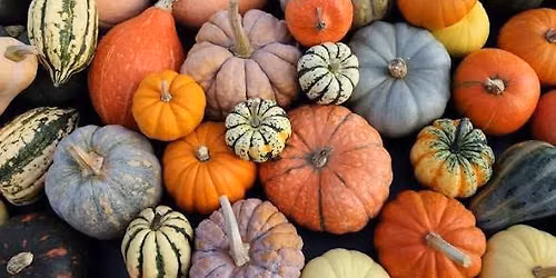 5th annual pumpkin patch