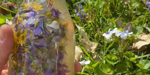 Silver Wheel Cellars & Apothecary presents: Wild Soda and Sensory Workshop