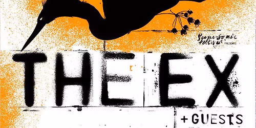 The Ex at Castle and Falcon