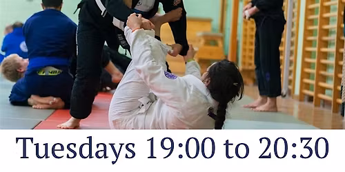 Gi Fundamentals Course (BJJ Brazilian Jiu Jitsu)