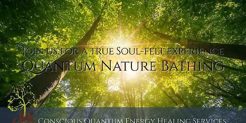 Nature Bathing: A Journey into Presence, Connection & Renewal