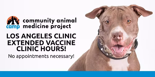 QUICK VACCINES AT CAMP MOBILE!