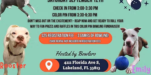 Bowling for Bullies!!!