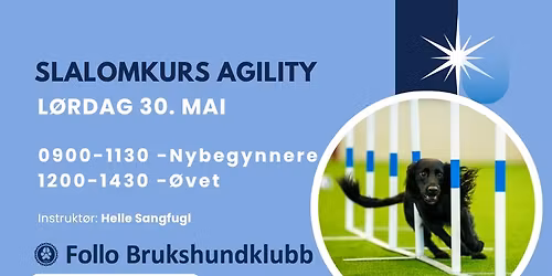 Slalomkurs agility
