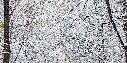 Winter Wine for the Holiday - A Tasting