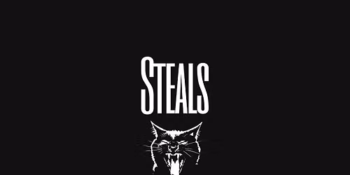 The Steals at Duck Dive