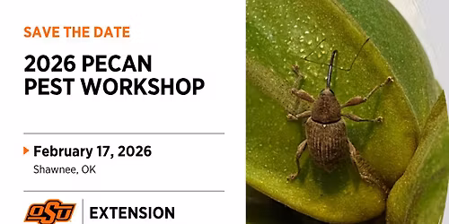 Pecan Pest Management Workshop