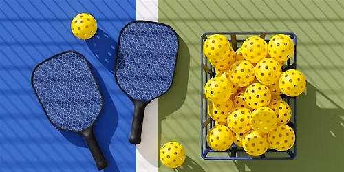 2026 Swisshelm Park Fall Pickleball Tournament
