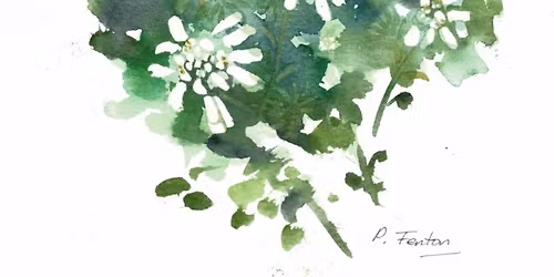 Painting Plants in Watercolour - Beginners