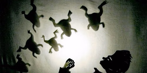 Kids Summer Camp: SHADOW PUPPETS