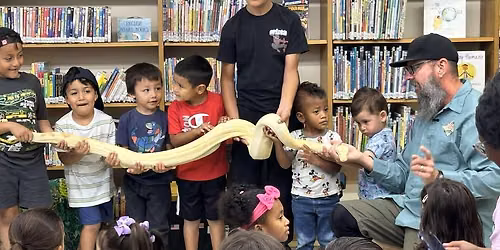 Politi Library 2 FREE SHOWS - SRP 2026