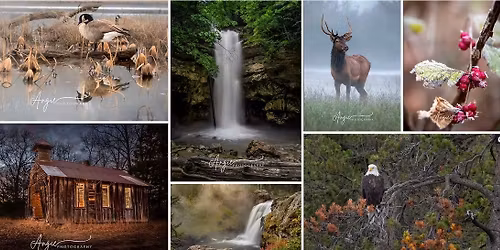 Nature Photography with Angie Labbee