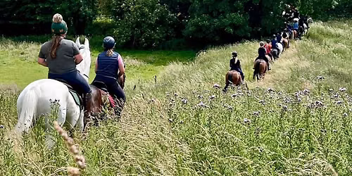 HBH Pleasure Ride at Stone Farm nr Lincoln