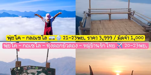 \u0e14\u0e2d\u0e22\u0e1e\u0e38\u0e48\u0e22\u0e42\u0e04 - \u0e01\u0e2d\u0e40\u0e0b\u0e42\u0e25 (\u0e23\u0e16)