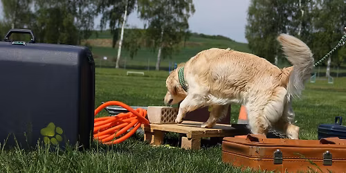 Sp\u00fcrhundesport Seminar