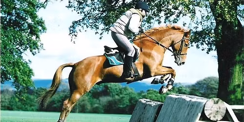 ACE Adult Horse Camp