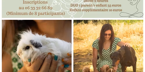 Coaching de vie et Bien-\u00eatre par la m\u00e9diation animale : journ\u00e9e d\u00e9couverte