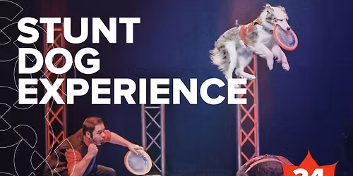 Parking Chris Perondi's Stunt Dog Experience