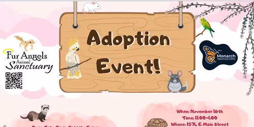 Monarch Vet Clinic Adoption Event