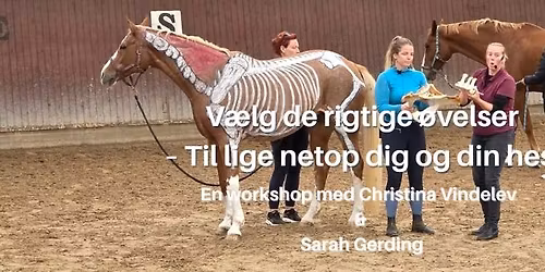 V\u00e6lg de rigtige \u00f8velser \u2013 Til lige netop dig og din hest- JYLLAND
