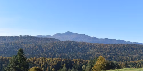 Velikono\u010dni dobrodelni pohod \u2013 Koraki za spomin Dobrodelni pohod za skrbnike oseb z demenco.