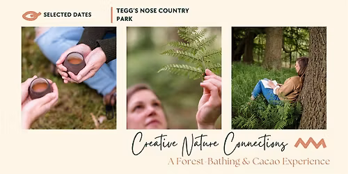 Creative Nature Connection, a Forest-Bathing and Cacao Experience