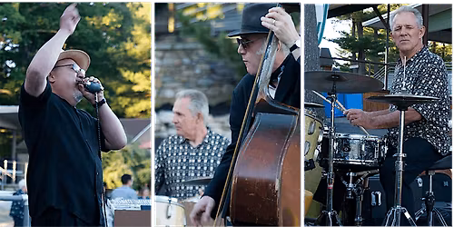 Sugar Ray and the Bluetones at the Frontroom