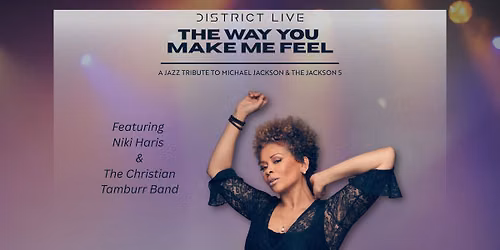 The Way You Make Me Feel, Featuring Niki Haris and the Christian Tamburr Band