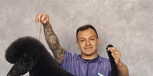 Dog Grooming Demo with Groom By Harry