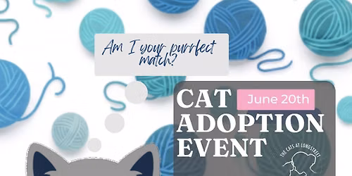 Cat Adoption Event at Pet Supplies Plus
