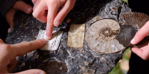 Fossil Handling with the Rotunda Geology Group