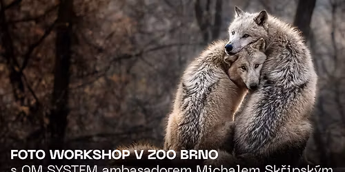 FOTO WORKSHOP | Zv\u00ed\u0159ata v ZOO Brno s Michalem Sk\u0159ipsk\u00fdm a testov\u00e1n\u00ed objektivu 50-200mm F2.8