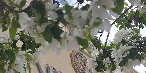 Marina Cox graveside service