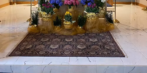 Frozen Pierogie Sale