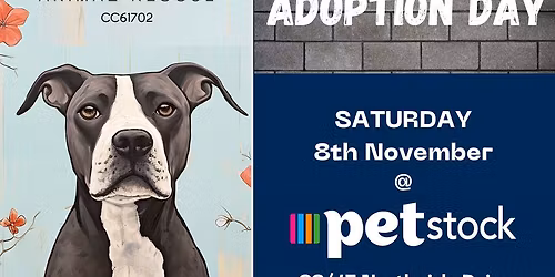Adoption Day @ Petstock Westgate
