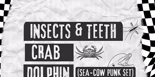 INSECTS & TEETH, CRAB, DOLPHIN + SHEEPWATER | Altar Bar