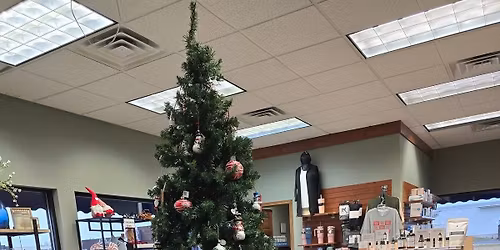 Christmas Merchandise Display