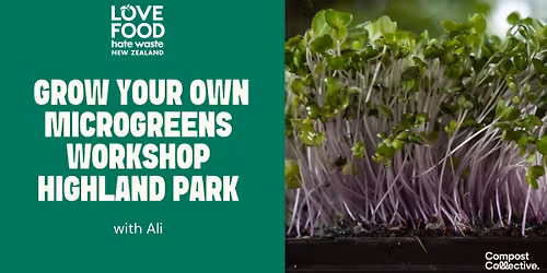 Free Love Food Hate Waste Workshop: Microgreens \u2013 Highland Park