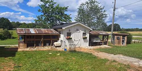 Cooking class Paella