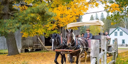 Thanksgiving Weekend - Fin de semaine de l'Action de grâce