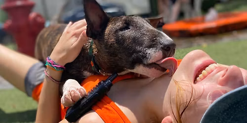 Happy Hound Meet & Greet