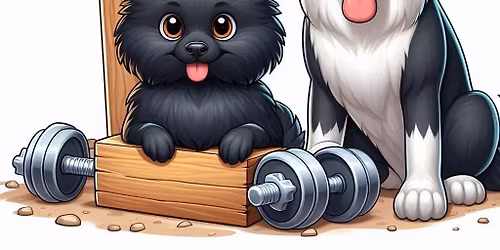 Warsztaty Rally-O FCI z Lad\u0105 Richterov\u0105 i Vilemin\u0105 Kracikov\u0105