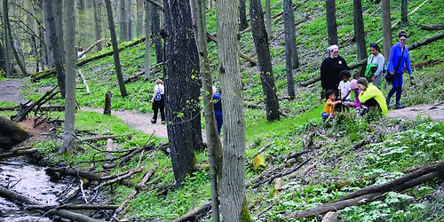 Earth Day Celebration