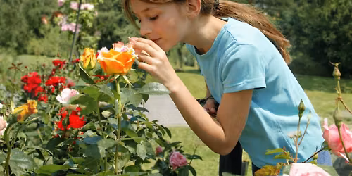 NEU Kinder-Rosariumstour