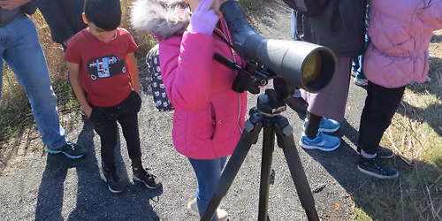 Birding Trip: Waterbirds & Migrants at Cove Island Park