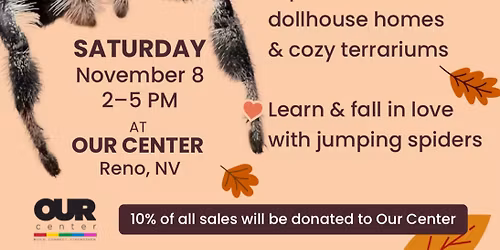 Fall in Love with Spiders