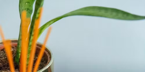 Sunday Service with Mary Hambly