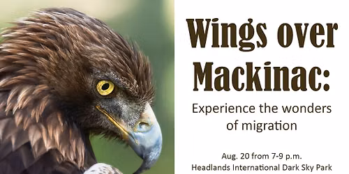 Wings over Mackinac: Experience the wonders of migration